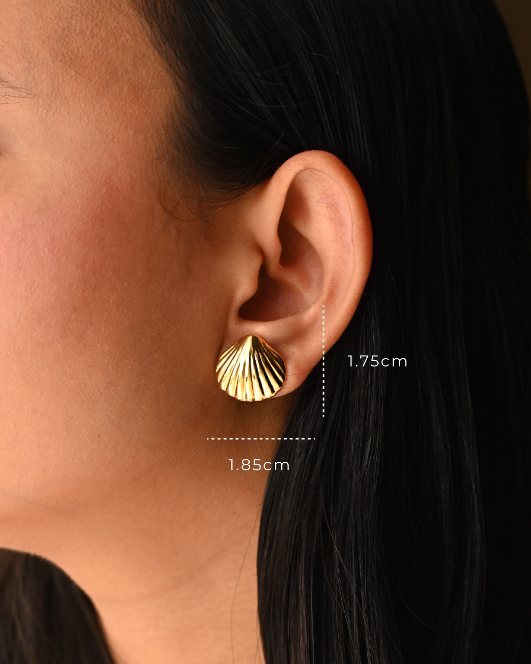 Shell stud for beach inspired look for women