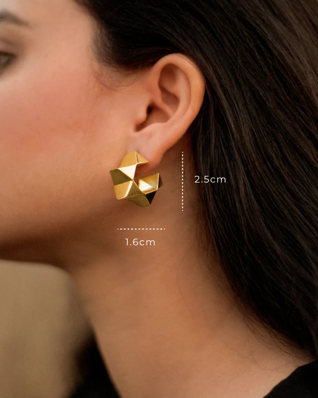 Polestar Earrings