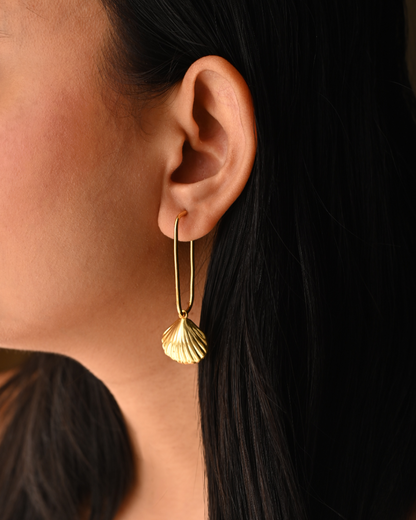 Fossil Hoop Earrings