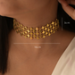 Star Drizzle Choker