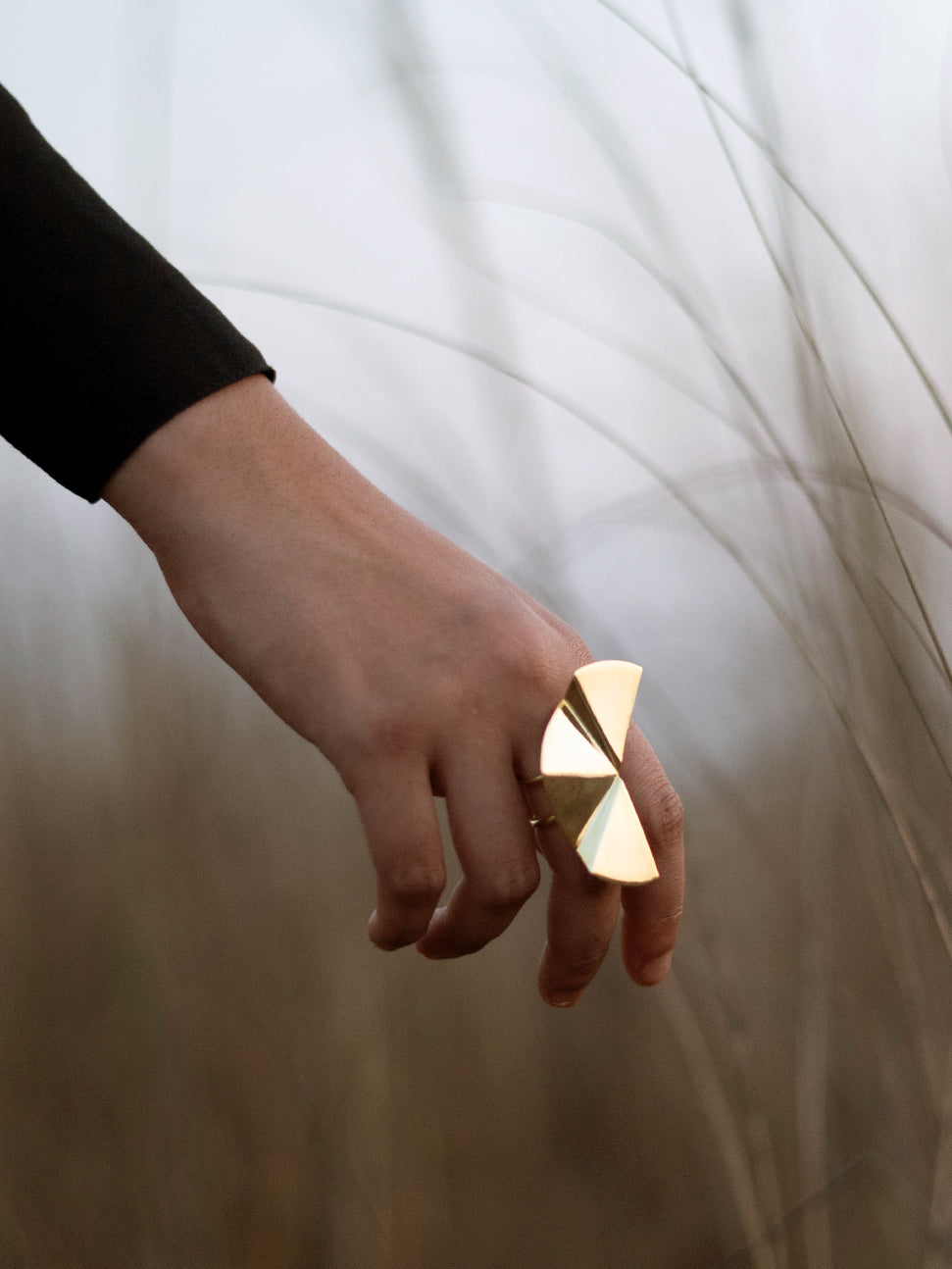 Elegant and modern gold butterfly nebula ring